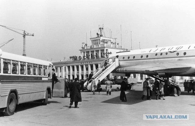 Ожившая история: колоризированные фотографии из далёкого прошлого