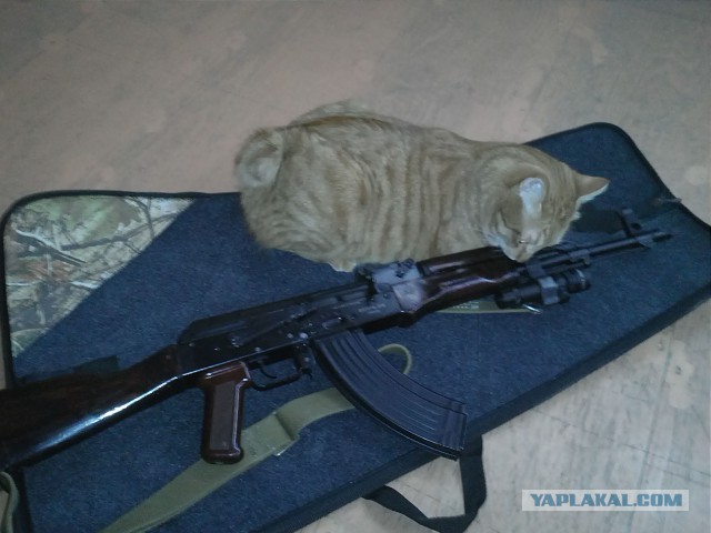 Beretta CX4 Storm Para 9х19