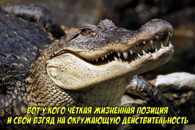 Подборка картинок