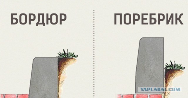 Питерские и околопитерские картинки
