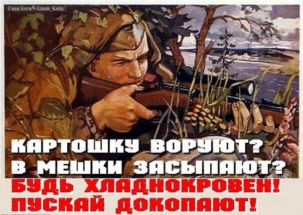 "Картошку воруют?!"