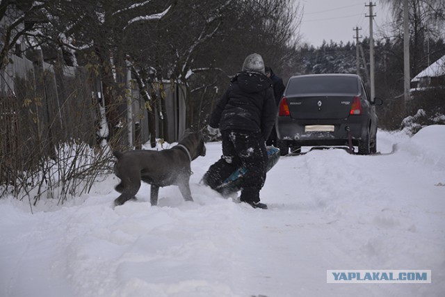 Необъяснимое в Зарядье