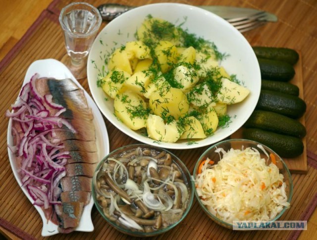 Горячие хозяюшки на кухне