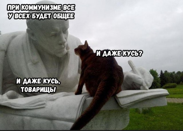 Средневековые коты, которым тоже сложно