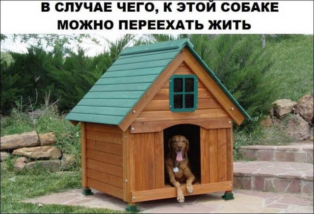 Немного картинок в эту пятницу