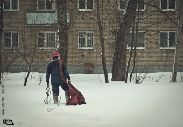 Приключения "Бемби" в Ярославле