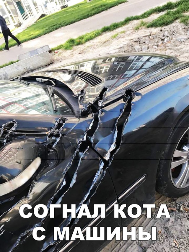 Нестандартный юмор