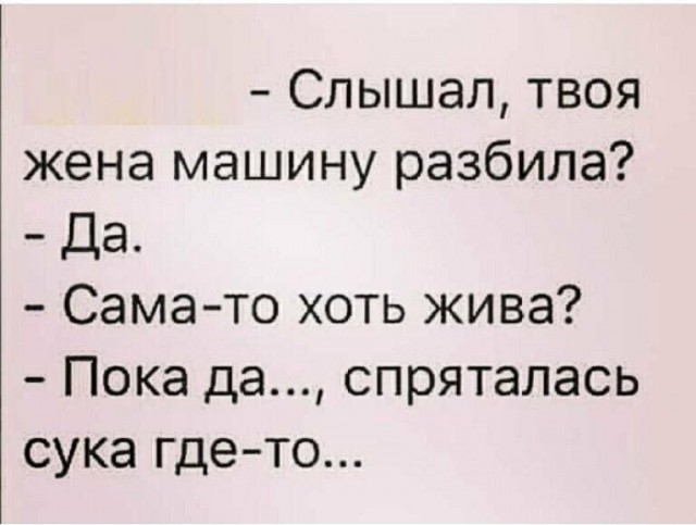 Всякая всячина #12