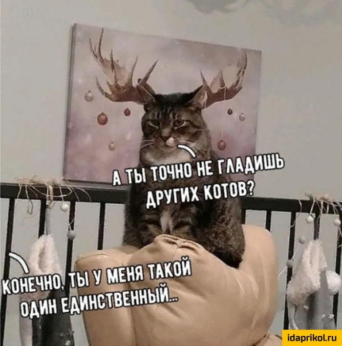 Почему изменяют жены