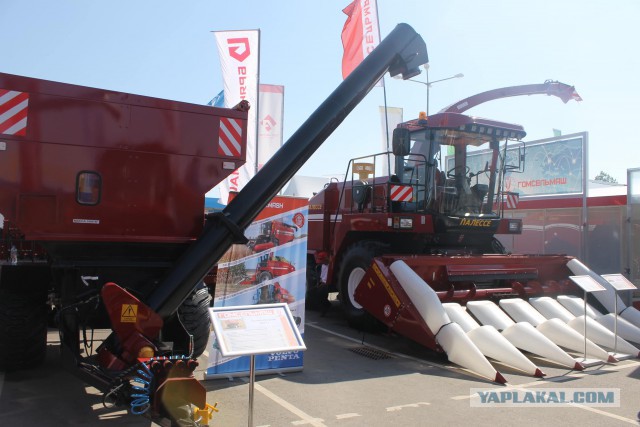 Побывали  c  сыном на выставке БЕЛАГРО