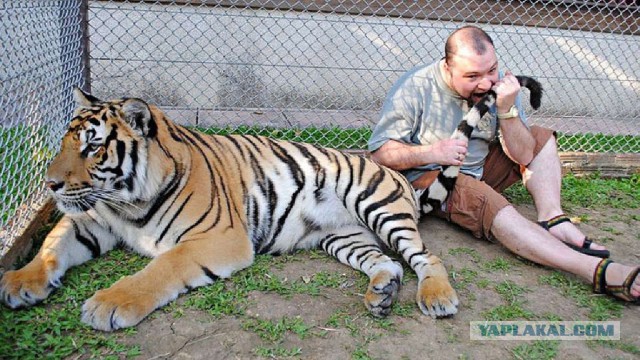 Что будет, если бросить фен в ванную