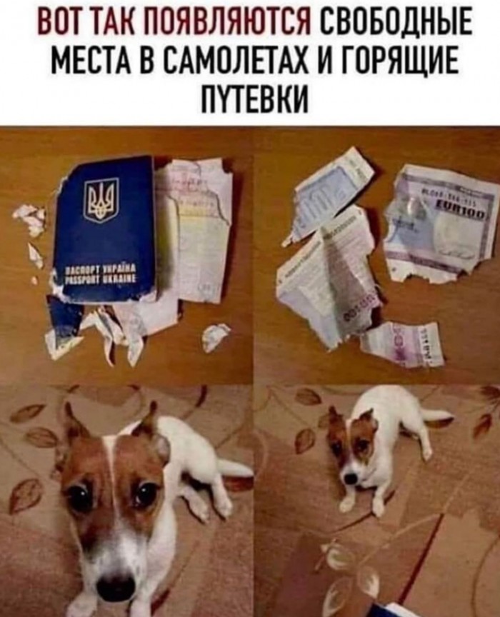 Немного картинок с надписями и без - 29