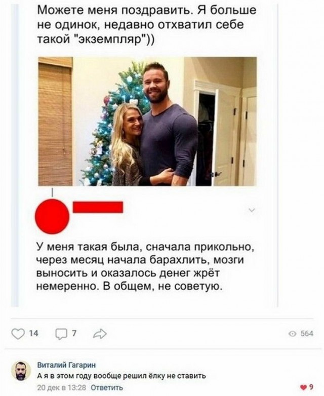 Бредзона из картинок