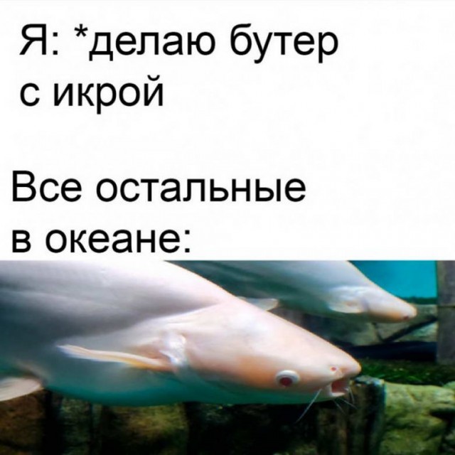Картинки ниАчем