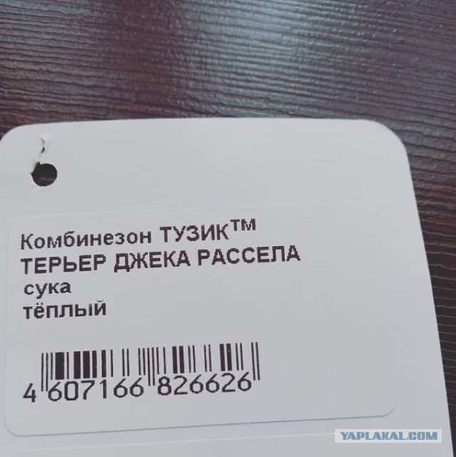 Забавные шутки, картинки и фразы из этих ваших интернетов