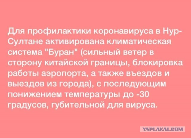 Сильная метель в казахской степи
