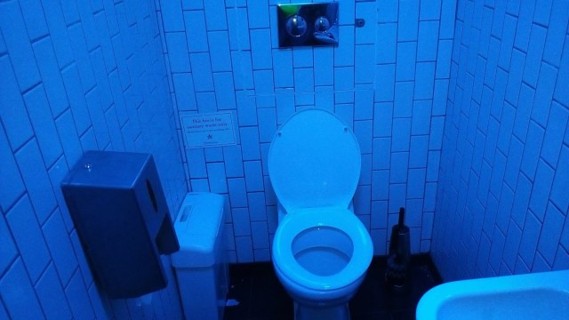 Туалеты мира