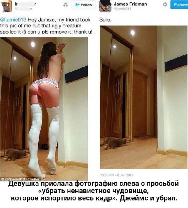 Тролль всея фотошопа редактирует фото людей, но не как они просят, а чтобы было смешно