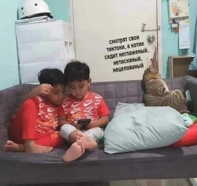 Про котикоф