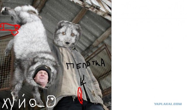 Школа говножаберов