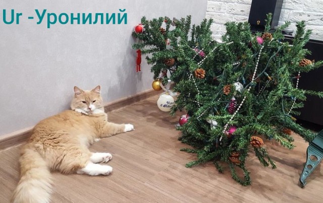 Периодическая система кото-элементов