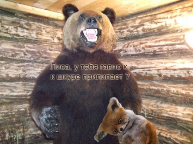 Таксидермия + наркомания