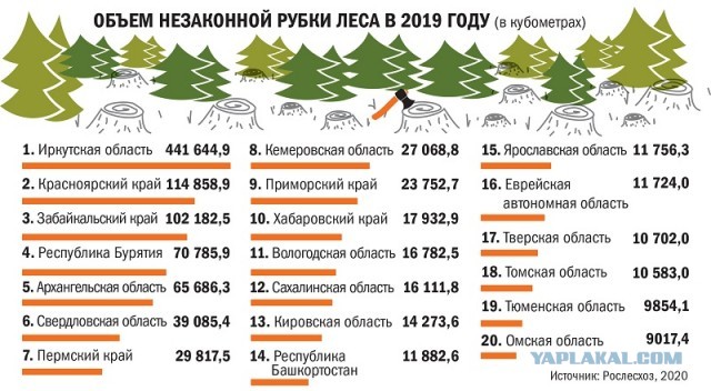 Тайги больше нет, уже всё продали и бездарно потратили на дворцы и яхты