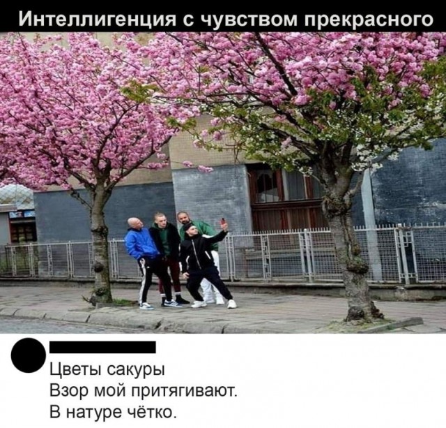 Картинки и мемы для настроения 30.04.21