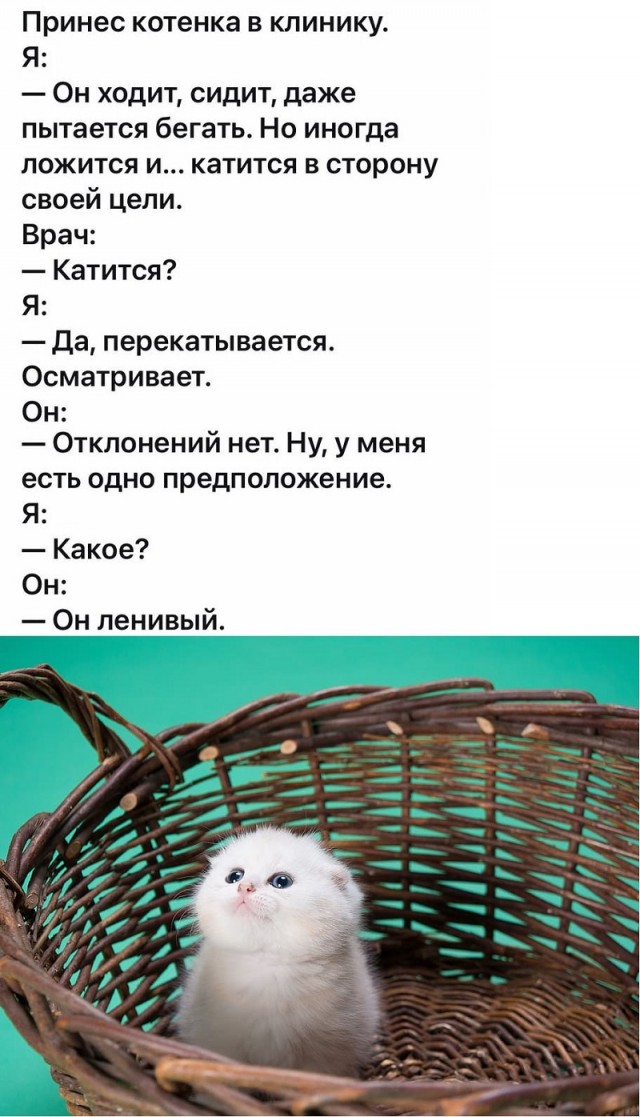 Картинки с надписями и всякие жизненные фразы 25.05.21