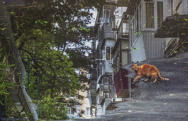 Картинки и мемы для настроения 05.08.2021