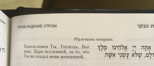 Весёлый полтишок 26.09