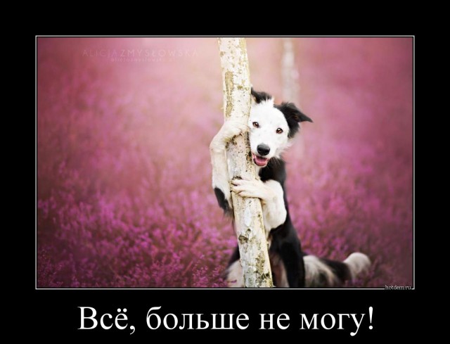 Аннушка уже разлила масло