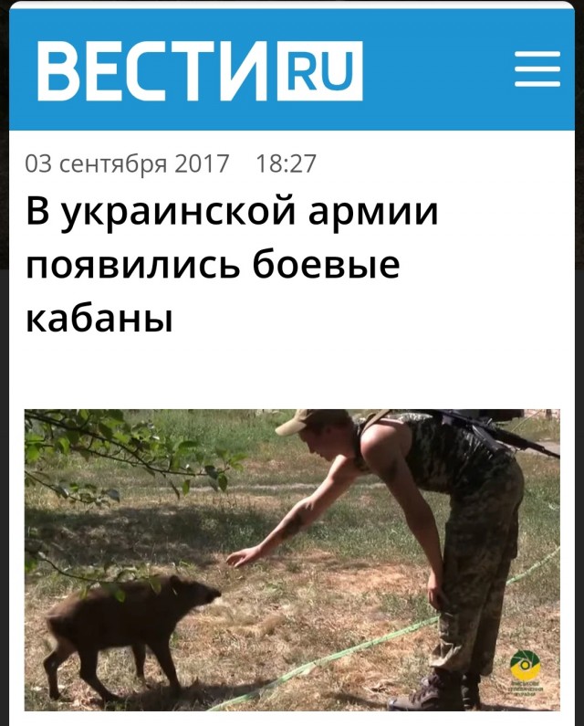 Нападение кабана