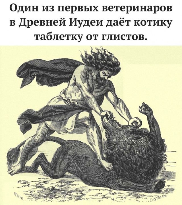 Так себе картинки 10.03.22