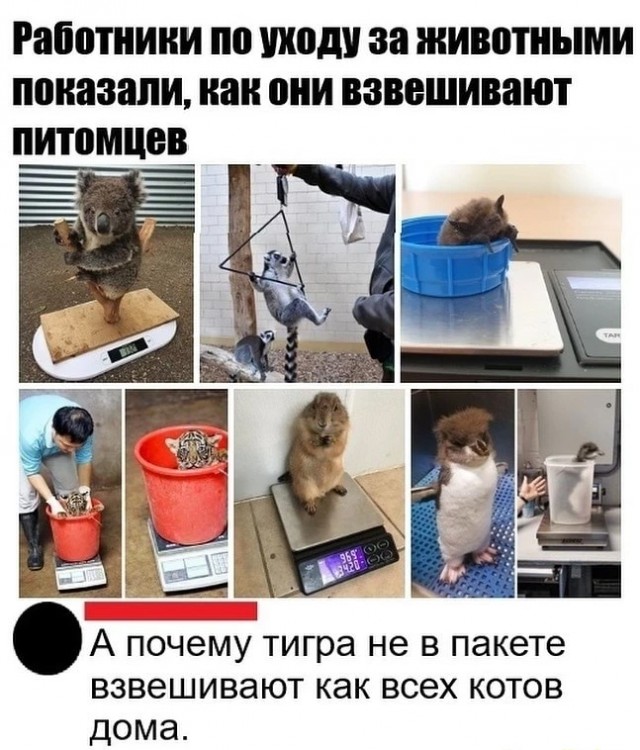 Немного картинок и прочей хреноты Vol. 8