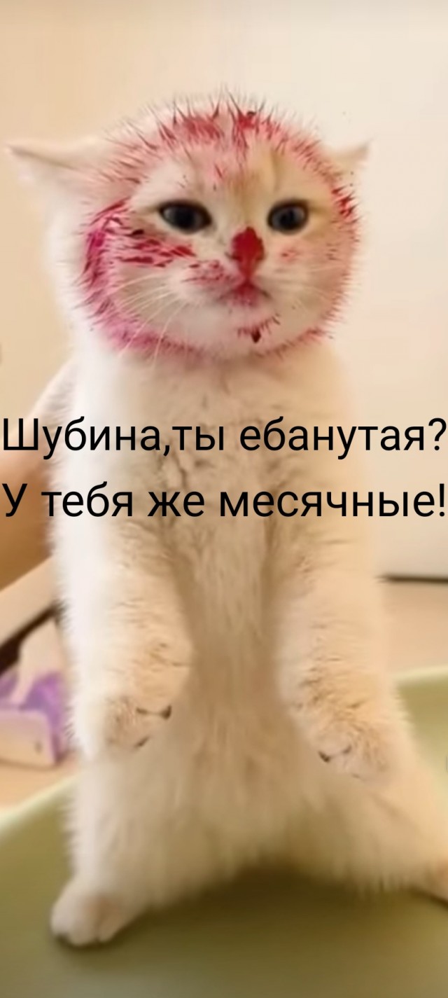 История про Наташу