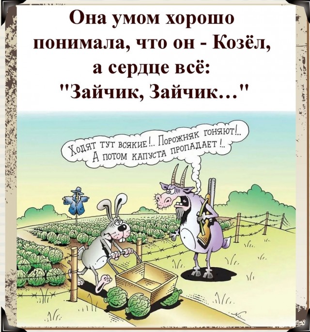 Так себе картинки 01.06.22