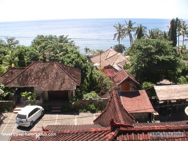 Они живут только 40 лет