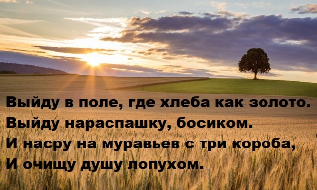 Юмор в картинках и без