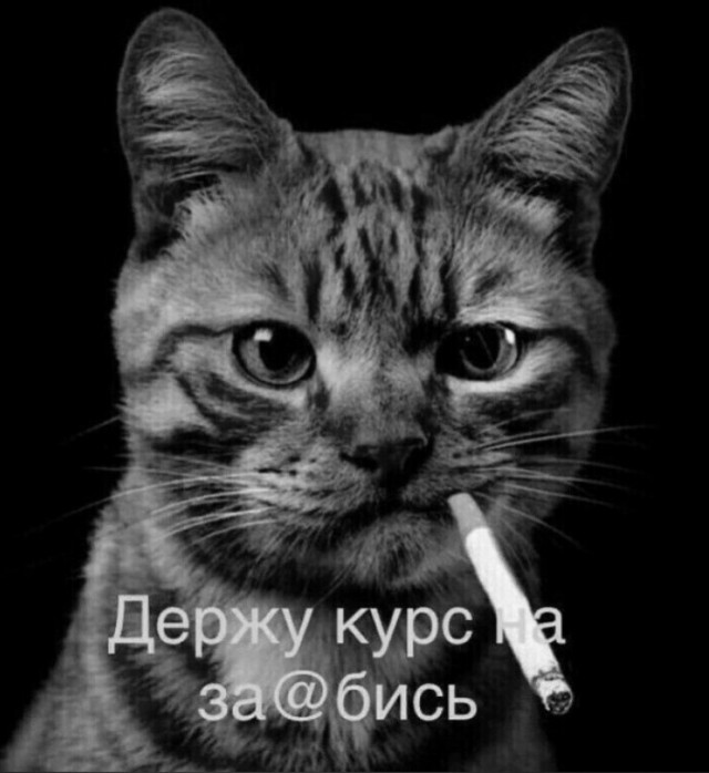 Позывной "Космос"