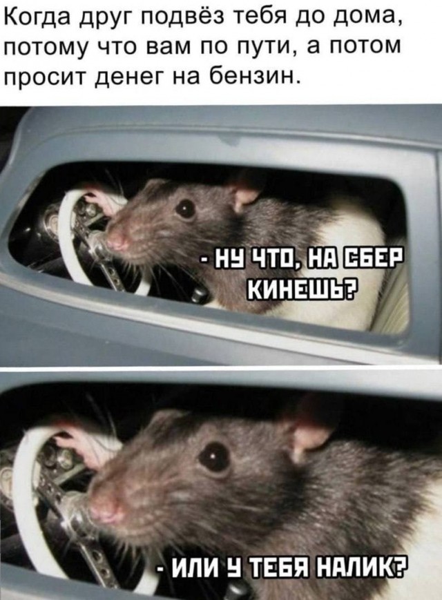 Картинки аморальные и всякие разные - 43