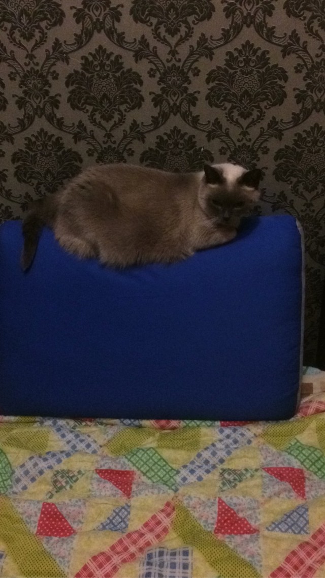 Доброе утро, ЯП