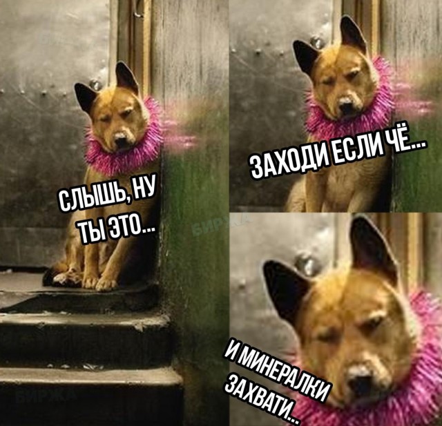 Картинки и мемы, всем хороших выходных