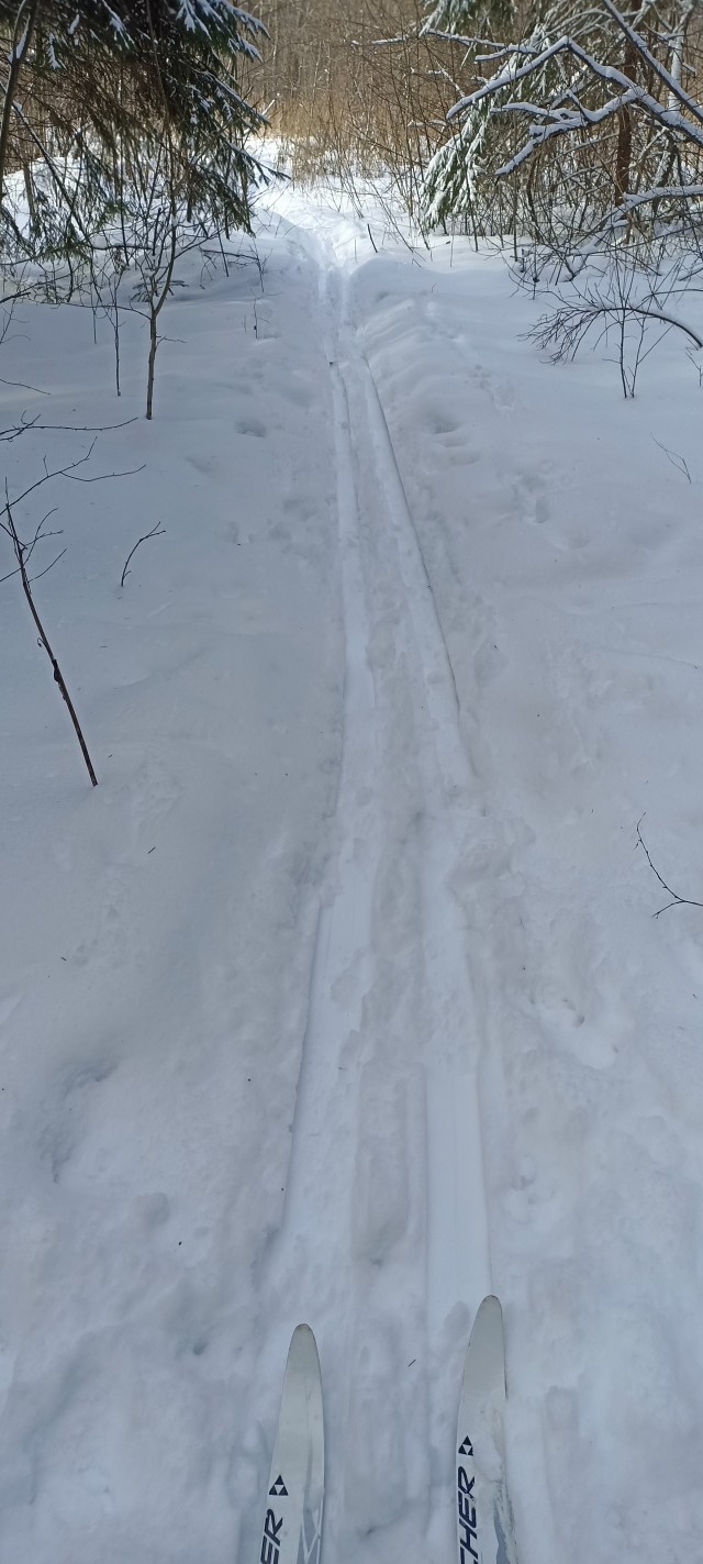 Выходные с пользой