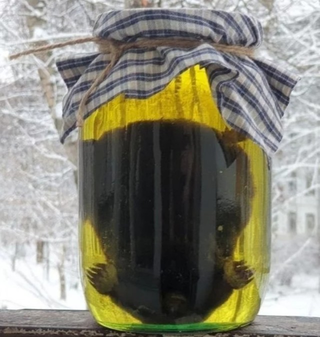 А много ли на ЯПе любителей грызунов?