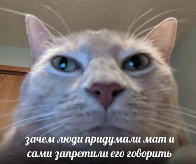 Нуштош 01.03.23