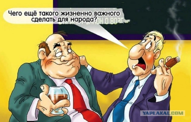 Процедуру идентификации домашних животных введут во всех регионах
