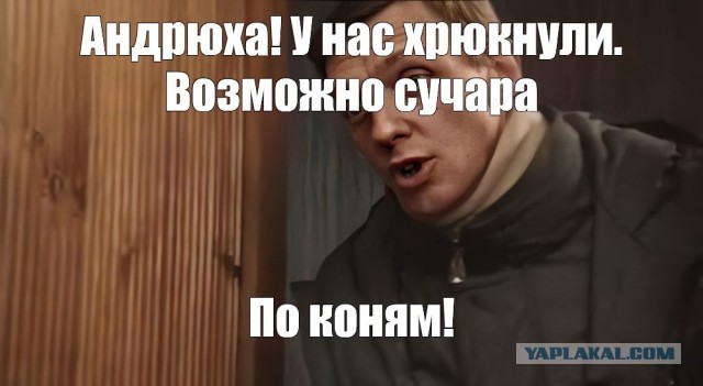 Когда подумал, что посадка