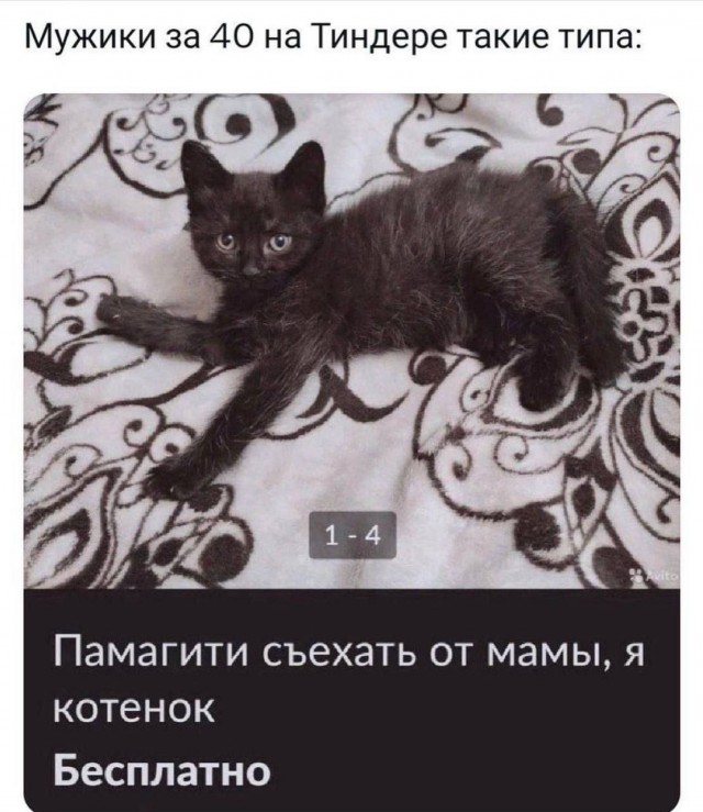 Всего понемногу. От 08.04.2024