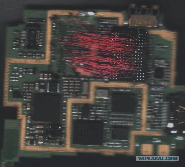 А каким о*анизмом занимаетесь вы?